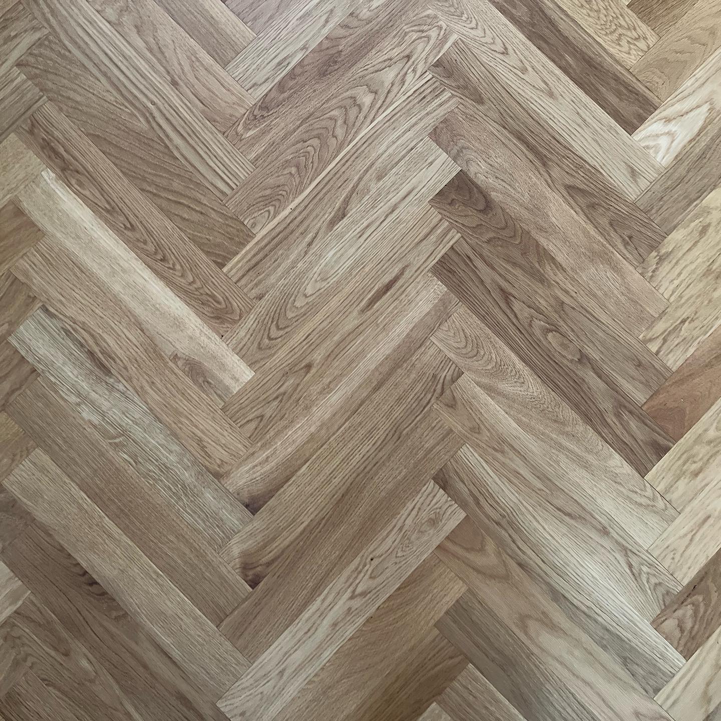 9D596B10-4B95-4390-9570-C67C06A4746E